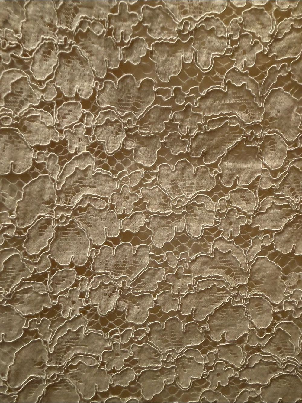 Charley’s Boutique-Cream Lace Peplum Sleeveless Top-Medium - Picture 5 of 6